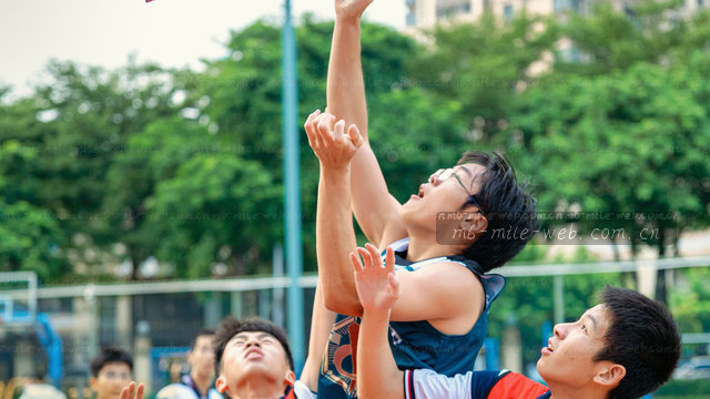 赛程同步与赔率快照